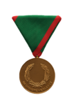 Verwundetenmedaille 1. Klasse BMI Vorderseite (Foto: Peter Steiner)