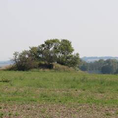 MG-Bunker vom Modell 37 auf einer freien Fläche bei Satov. (Foto: RedTD/Gerold Keusch)