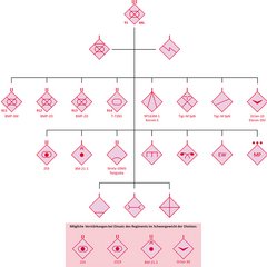 Gliederung eines motorisierten Schützenregimentes des Übungsgegners Rot (inkl. möglicher Verstärkungskräfte). (Grafik: Alexander Baumann, Christopher Stuk)