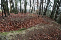 Der Verlauf des mit Laub befüllten Kampfgrabens ist deutlich zu erkennen. (Foto: Keusch) 