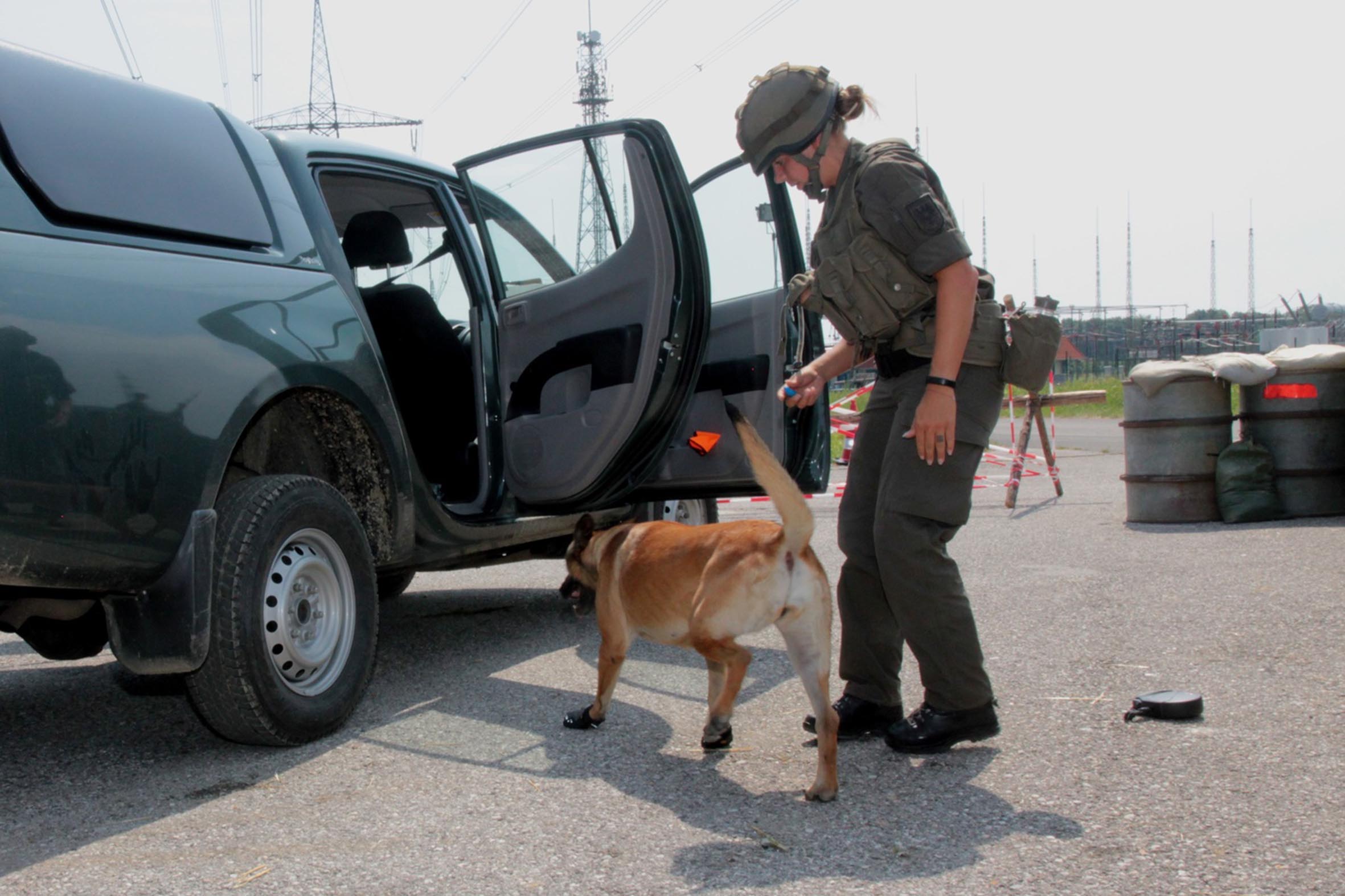 Ein Militärhund im Einsatz. (Foto: Bundesheer/Klaus Frank)