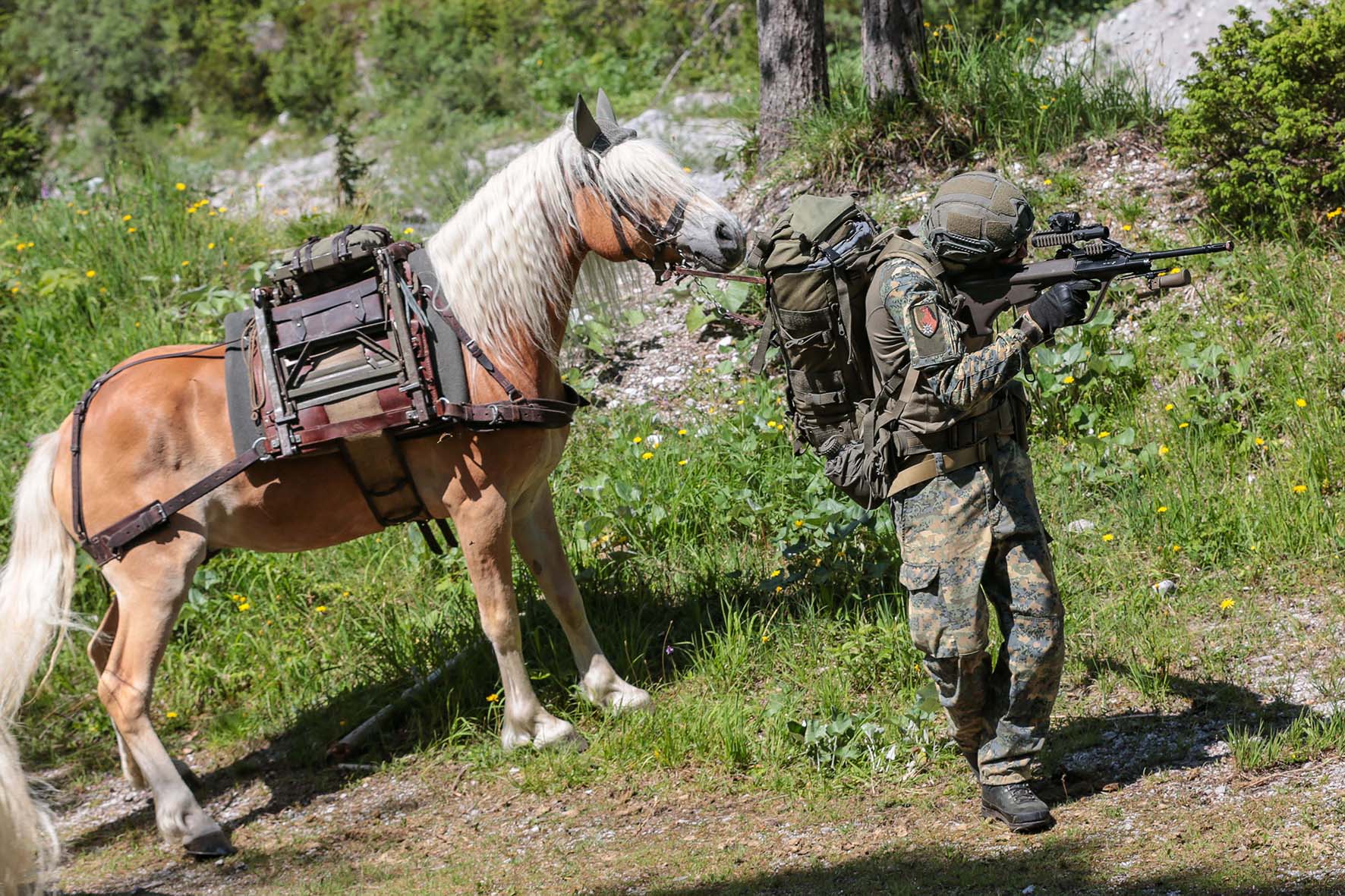 (Foto: Bundesheer/Helmut Steger)