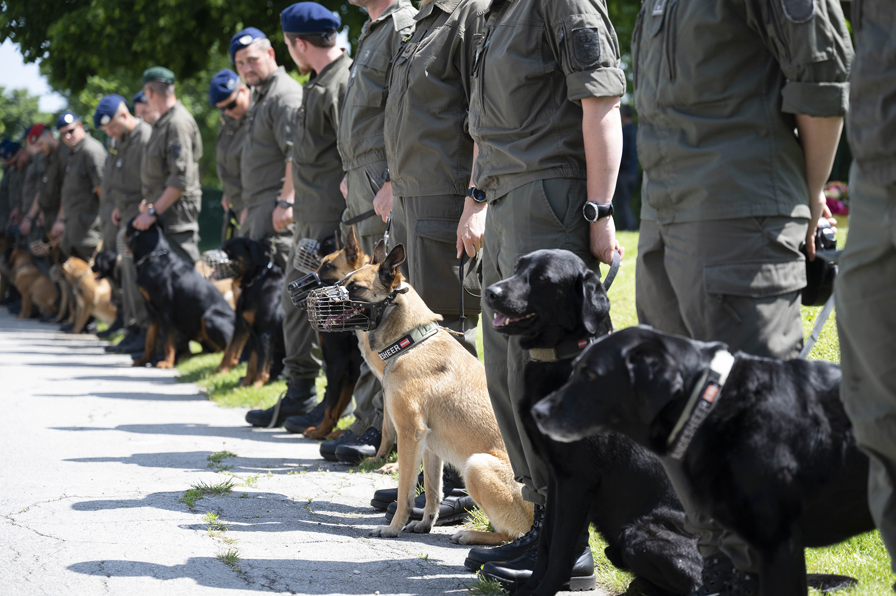 (Foto: Bundesheer/Laura Heinschink)