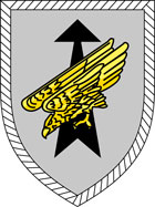 Verbandsabzeichen der Division Schnelle Kräfte